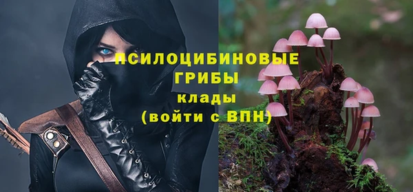 синтетический гашиш Алексин